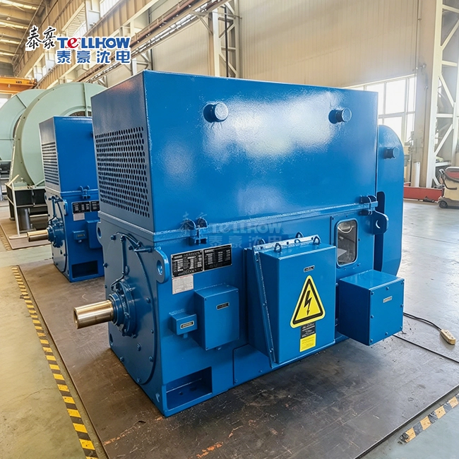 High Torque Wound Rotor Induction Motor
